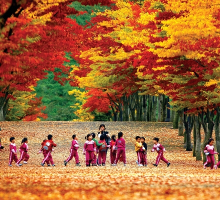 TIN HOT MIỄN PHÍ VISA HÀN QUỐC